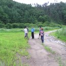 뚝지펜션 이미지