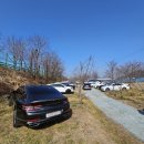 조은자동차정비 | 김해 목련숲 실시간 개화 주차장 정보 3월 경남 가볼만한곳 꽃구경 (방문일 26.3.21)