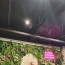 오크레페로드172