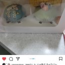 202펫푸드 이미지