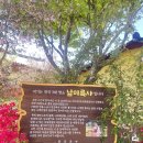 강진 | 강진 남미륵사 봄 여행 후기 ｜ 서부해당화 아쉬웠던 방문기