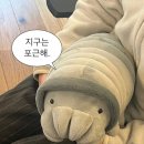 대구 리클라이너 영화관 메가박스 프리미엄 만경관에서 봉준호감독 영화 &lt;미키17&gt; 본 솔직후기 (스포x...