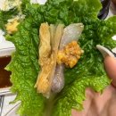 롯데리아광주하남2지구점 | 광주 하남2지구 홈플러스 근처 횟집 맛집 추천_회담