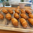 (주) 오연 이미지