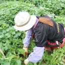 윤승하농장 이미지