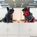 서초1동010 이미지