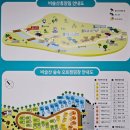 이팝나무 펜션 이미지