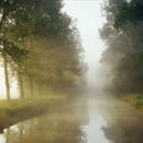 작은나무 이미지