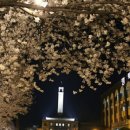 평택대 앞 이미지