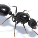 개미어린이집 이미지