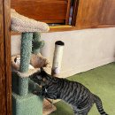 사람곡간 이미지