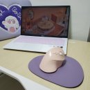 필름/카라스 퍼플 키스킨/아이리버 버티컬 마우스/그리디파머스 마우스 패드/해피보비타운 노트북 파우치