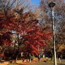 여주-0022 | 근심 없는 미소의 그가 하는 말은 하나도 이해할 수 없다…