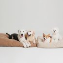 플러스하트 이미지