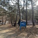 금물산하늘소캠핑장