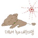 모모 애견미용 이미지