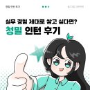 주식회사 메스테크 | 💚실무 경험 제대로 쌓고 싶다면? [ 청밀 인턴 후기 ]💚