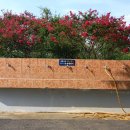 평동중학교 이미지