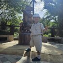 한마음카랜드 | [나트랑#2] 나트랑 극기훈련 (빈펄나트랑베이,빈펄랜드사육사주키퍼체험)