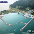 연도항