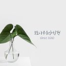 포도나무 음악학원 이미지