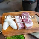 제주도 흑돼지 맛집 월정리 월고집
