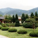 수로왕릉 Daum카페