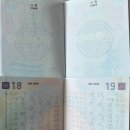 조폐공사 ID본부 버스정류장 | 여권 재발급 후기🛂 미성년자 여권 신청·수령까지 완벽 정리!