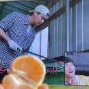 송보농장 이미지