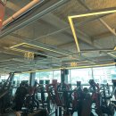 문라이트짐 이미지