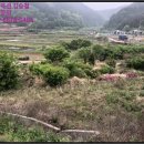 구산면557 이미지