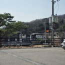 주식회사 힘낙지쭈꾸미 | 고모리저수지 맛집 삼낙촌 활낙지볶음 쭈꾸미볶음 맛있는 한정식