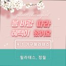 필라테스;청월