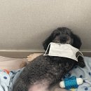 중소기업은행 아이비케이파이낸스타워 | [IBK기업은행] 2022 하계 청년인턴 면접 + 최종 합격 후기
