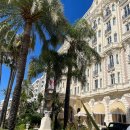프로방스앤(PROVENCE ANNE) | Carlton Hotel 점심& Airelles Château de la Messardière 레스토랑 후기 & 생트로페 가성비 호텔 추천