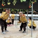 서재원 농장 이미지