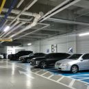 미사강변 남로 | 미사역 마사지 연예인도 관리받는 더온결 전신수기마사지 솔직후기