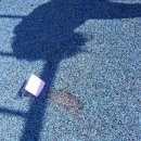 목포애향초등학교 이미지