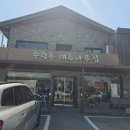 대추나무집 - 계양구 드림로 672-8 | 청주 대추나무집 짜글이찌개 후기 부드러운 등갈비와 촌돼지 맛집