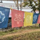 천연염색 이미지