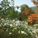 하늘샘농장 이미지