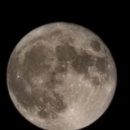 내집앞슈퍼 이미지