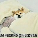 별내포차
