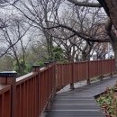 연암도서관 앞 이미지