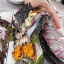 세트 구성에 배터지는 찐 도민맛집, 동문시장 횟집 ‘동해수산회센타’ : 회 포장/모임 추천/스페셜세트...
