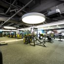 인천 남구 도화동에 최고의 시설을 자랑하는 relife fitness 에서 함께할 오전1명 오후1명 트레이너 모십니다. 이미지
