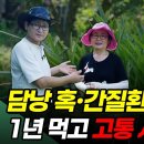 담낭 혹·간질환엔 이 약초! 1년 먹고 고통 사라진 비결 이미지