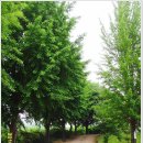 의성북부초등학교 이미지