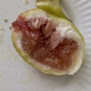 집에서 즐기는 브런치(5월 모집) | [네이버 피드메이커 3기] 푸드 분야 합격! 선정 후기