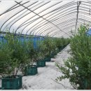 칠갑산농원 이미지